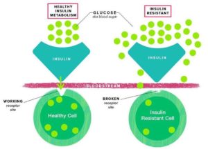 insulino-resistenza, resistenza, insulina, diabete, sindrome metabolica, nutrizionista napoli, nutrizionista policlinico, napoli, nutrizionista vomero, nutrizionista soccavo, nutrizionista via epomeo